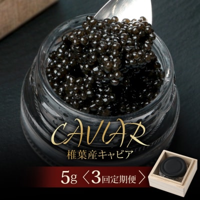 〈3回定期便〉【桐箱入り】キャビア 5g × 3回配送 計15g【世界三大珍味×日本三大秘境】