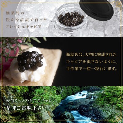 〈6回定期便〉【桐箱入り】キャビア 5g × 6回配送 計30g【世界三大珍味×日本三大秘境】