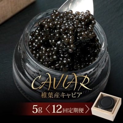 〈12回定期便〉【桐箱入り】キャビア 5g × 12回配送 計60g【世界三大珍味×日本三大秘境】