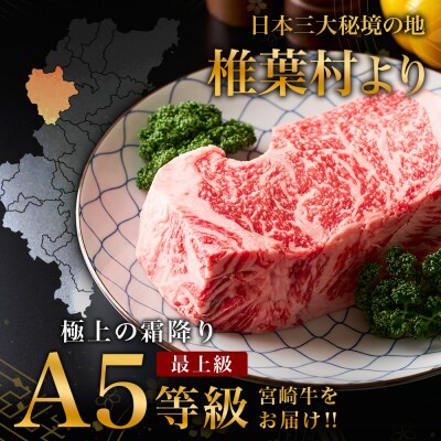 【A5ランク】 宮崎牛 すき焼き 2種 食べ比べ 肩ロース210g・牛もも210g 計420g