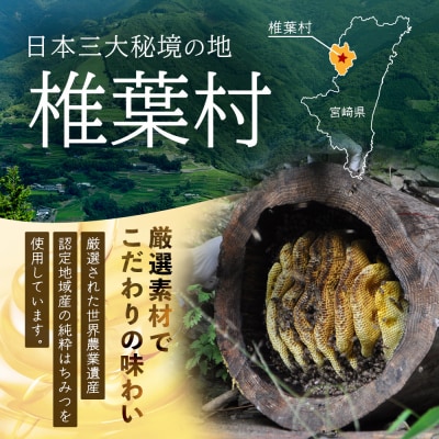 【椎葉村産のはちみつ】を使用したハニーマスタード!ゴッドマイト 90g × 1個 TT-18