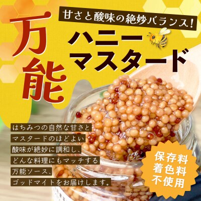 【椎葉村産のはちみつ】を使用したハニーマスタード!ゴッドマイト 90g×2個 計180g TT-19