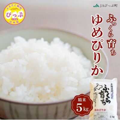 令和7年産 ゆめぴりか 精米 5kg【JAぴっぷ町】