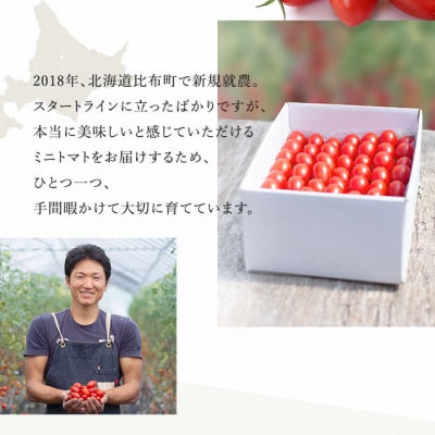 【Farm of Soul】金賞受賞! 高糖度フルーツミニトマト2.5kg