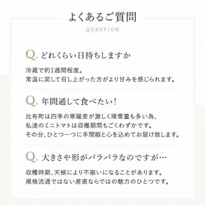 2026年発送 金賞受賞 北海道フルーツミニトマト【ジェルバ】2.5kg【Farm of Soul】