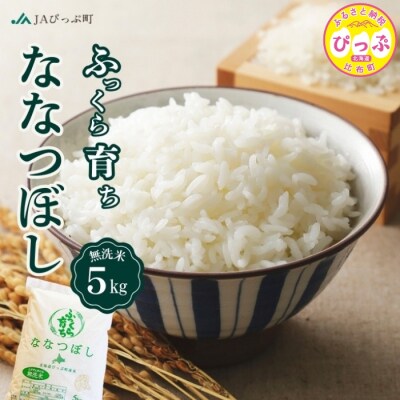 令和7年産 ななつぼし無洗米 5kg【JAぴっぷ町】