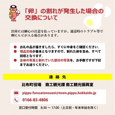 元気な鶏から産まれた健康なたまご!「かっぱの健卵」 20個【大熊養鶏場】