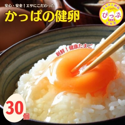 かっぱの健卵 30個【大熊養鶏場】 鶏卵 卵 たまご 1006-003