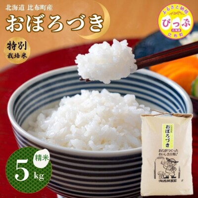 令和7年産 特別栽培米 おぼろづき 精米 5kg 【西間農園】1005-001