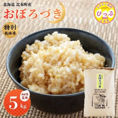 令和7年産 特別栽培米 おぼろづき みがき玄米 5kg 【西間農園】1005-011