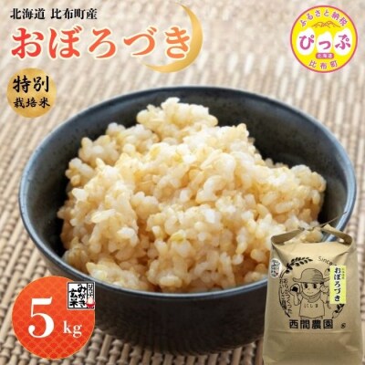 【令和8年産 新米先行受付】特別栽培米 おぼろづき みがき玄米 5kg【西間農園】