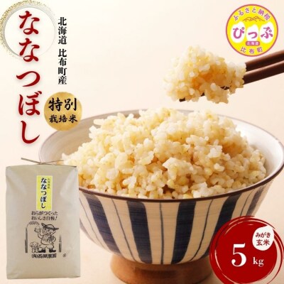 令和7年産 特別栽培米 ななつぼし みがき玄米 5kg【西間農園】