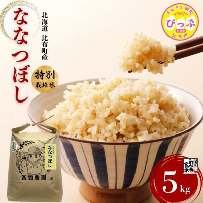 【令和8年産 新米先行受付】特別栽培米 ななつぼし みがき玄米 5kg【西間農園】