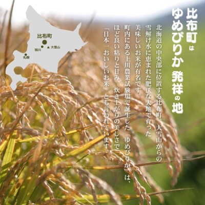 牧野農産　2025年産　ゆめぴりか　精米10kg
