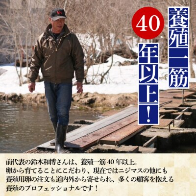 ぴっぷサーモン にじますスモーク 冷燻仕上げ 480g【にじます工房】
