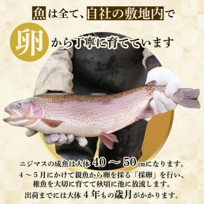 ぴっぷサーモン にじますスモーク 冷燻仕上げ 480g【にじます工房】