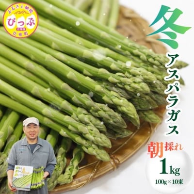 【12月下旬より発送】冬グリーンアスパラ M〜Lサイズ 1kg【菅原クリーンファーム】