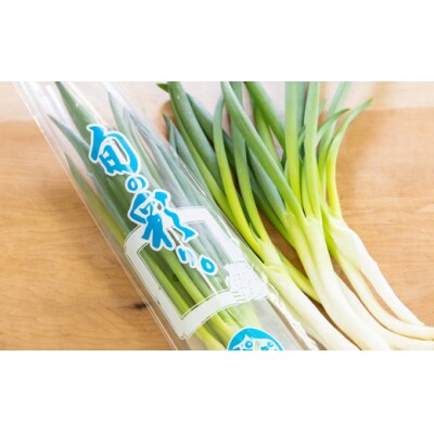 比布町産ねぎ(千本ねぎ)「旬の彩り」10束