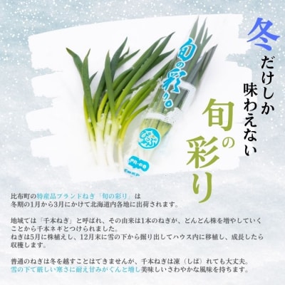 比布町産ねぎ(千本ねぎ)「旬の彩り。」 10束【JAぴっぷ町】