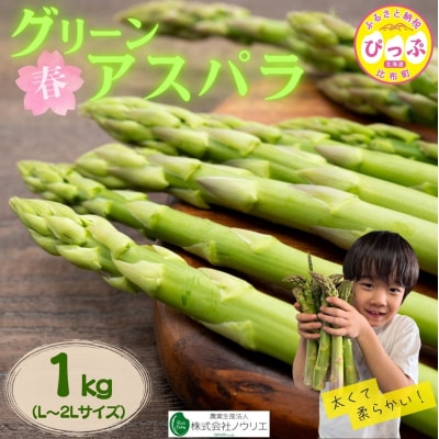 【2026年4月中旬より発送】比布町産 グリーンアスパラ L〜2L サイズ 1kg【ノウリエ】
