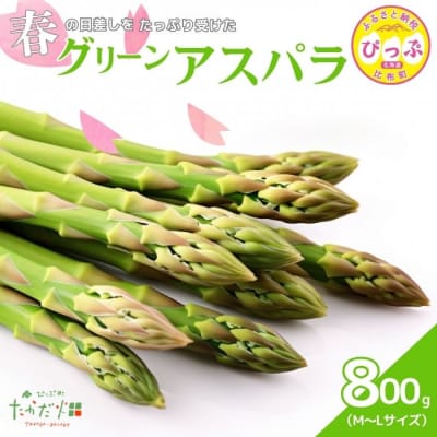 【2026年4月中旬から発送】グリーンアスパラ M〜Lサイズ 800g【たかだ畑】 1018-003