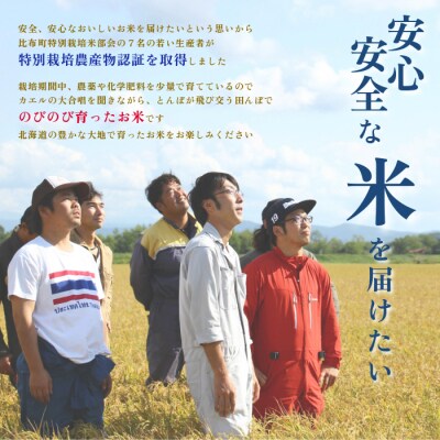 令和7年産 特別栽培米ゆめぴりか 5kg【ナナプラザ】