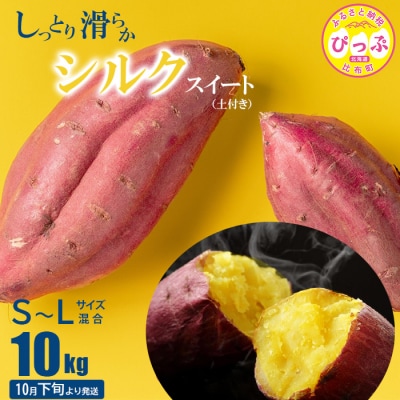 【2026年10月下旬より発送】シルクスイート S～Lサイズ混合 10kg 【北川農園】