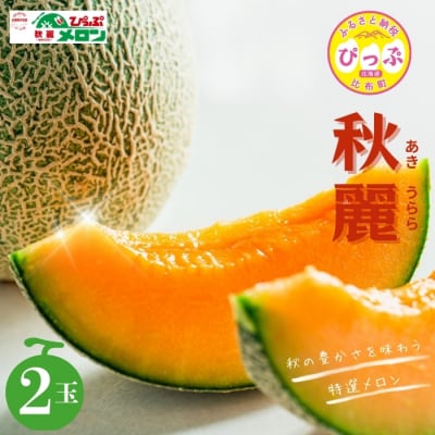 ぴっぷメロン「秋麗(あきうらら)」 2玉 【菅原クリーンファーム】