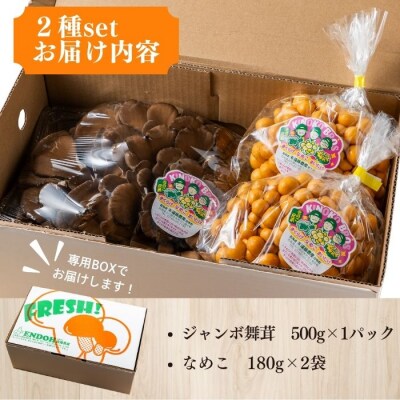 きのこ2種セット 計860g ジャンボまいたけ 500g なめこ 180g×2【遠藤農産】