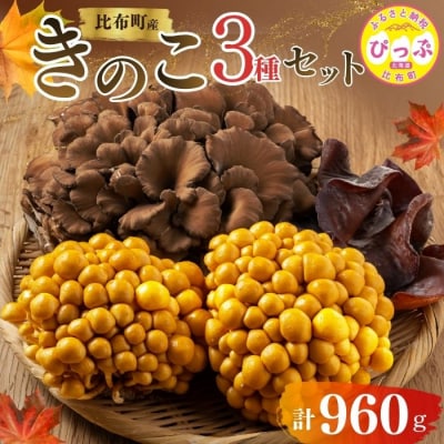 きのこ3種セット 計960g ジャンボまいたけ なめこ きくらげ【遠藤農産】