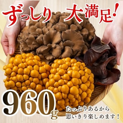 きのこ3種セット 計960g ジャンボまいたけ なめこ きくらげ【遠藤農産】
