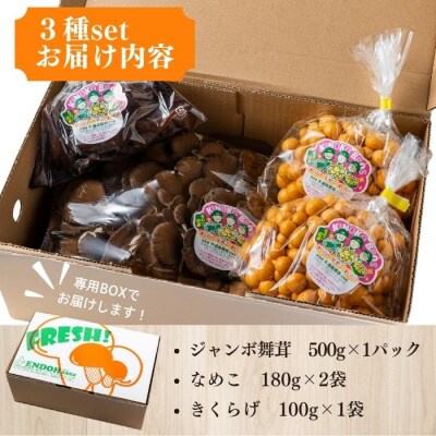 きのこ3種セット 計960g ジャンボまいたけ なめこ きくらげ【遠藤農産】