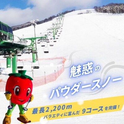 2026～2027 ぴっぷスキー場1日券(シニア65歳以上/小人) 