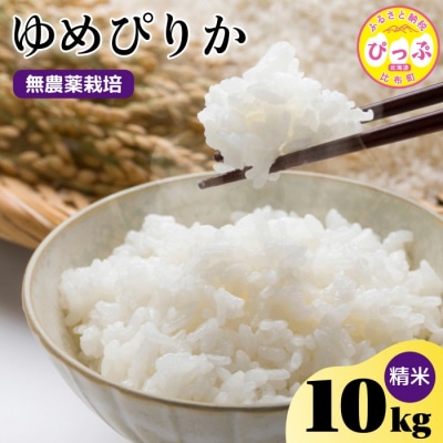 今野農園　ゆめぴりか　精米10kg