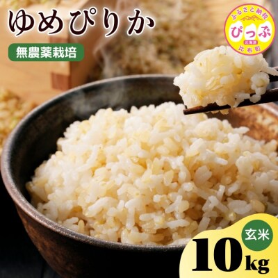 今野農園　ゆめぴりか　玄米10kg