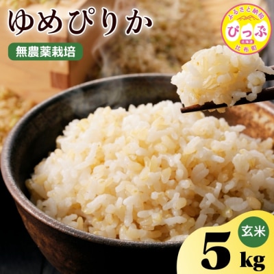 令和7年産 今野農園 ゆめぴりか 玄米5kg