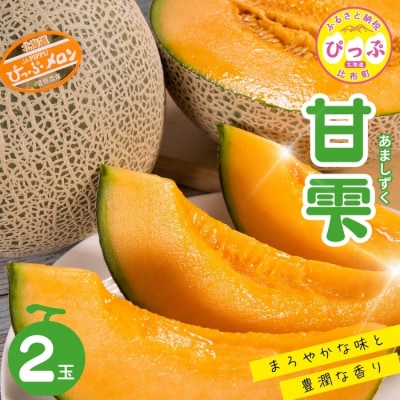 【2026年8月下旬発送】ぴっぷメロン「甘雫(あましずく)」2玉 約3kg【菅原農産】