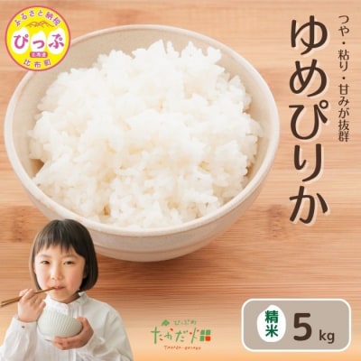 令和7年産　たかだ畑　ゆめぴりか　精米5kg