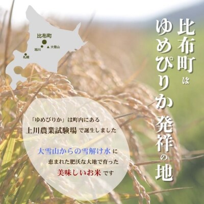 令和7年産 ゆめぴりか玄米 20kg【農業生産法人ノウリエ】米 お米 北海道産 北海道米 特Aランク