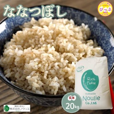 2025年産ノウリエ ななつぼし玄米20kg【11月から12月上旬発送】