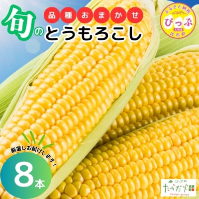 【2026年7月下旬頃発送】とうもろこし 品種おまかせ  8本【たかだ畑】 