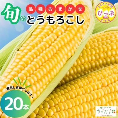 【2026年7月下旬頃発送】とうもろこし 品種おまかせ 20本【たかだ畑】 