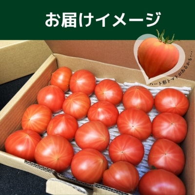レディーファーストトマト 2kg【稲場農場】