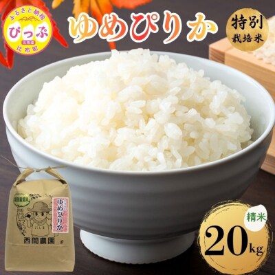 【令和8年産 新米先行受付】特別栽培米 ゆめぴりか 精米 20kg(5kg×4) 【西間農園】