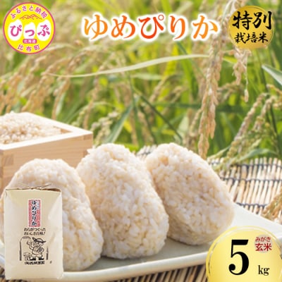 令和7年産 特別栽培米 ゆめぴりか みがき玄米 5kg 【西間農園】1005-051