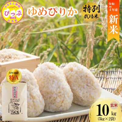 【先行受付】【西間農園】 特別栽培米 ゆめぴりか みがき玄米 10kg【11月から12月上旬発送】