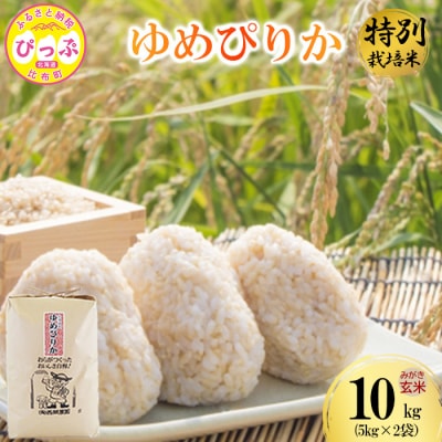 令和7年産 特別栽培米 ゆめぴりか みがき玄米 10kg(5kg×2) 【西間農園】1005-052
