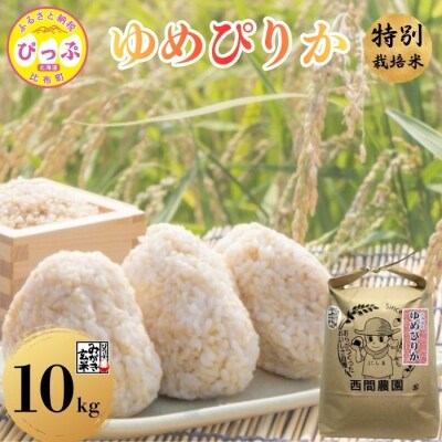 【令和8年産 新米先行受付】特別栽培米 ゆめぴりか みがき玄米 10kg(5kg×2) 【西間農園】