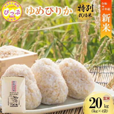 【先行受付】【西間農園】 特別栽培米 ゆめぴりか みがき玄米 20kg【11月から12月上旬発送】