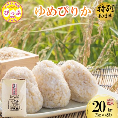 令和7年産 特別栽培米 ゆめぴりか みがき玄米 20kg(5kg×4) 【西間農園】